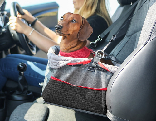 Canasta Porta Mascota Elevado Para Auto Kong Secure Booster