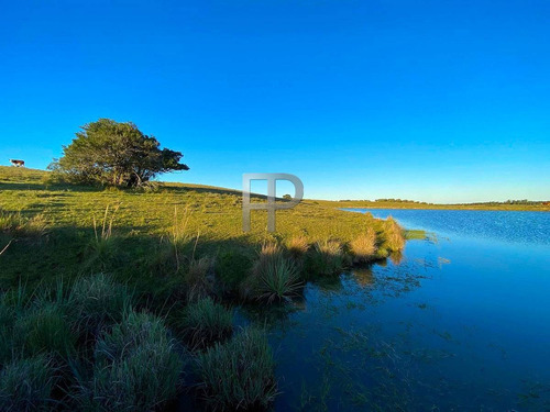Imagen 6 de 13 de Campo En Venta Garzon 8 Has #1698