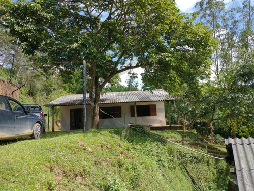 Imagem 10 de 30 de Sítio De 3,5 Alqueires, Excelente Localização! Com Área Aberta Para Criação Recreativa E Mata Nativa Para Trilha E Caminhada.. - 237 - 69821549