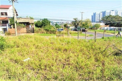 Imagem 6 de 11 de Terreno - Jardim Leopoldina - Ref: 590803 - V-ca5192