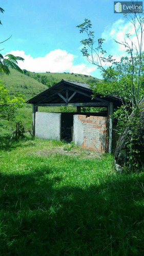 Imagem 4 de 14 de Fazenda Com 2 Dorms, Cézar De Souza, Mogi Das Cruzes - R$ 2 Mi, Cod: 722 - V722