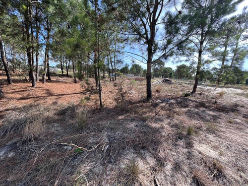 Imagen 2 de 12 de Venta Terreno Lomas De Solymar Canelones
