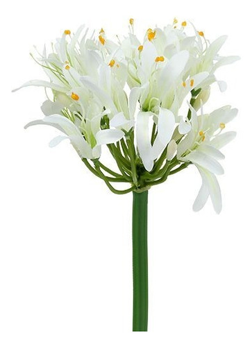 Agapando Blanco ( Lilium) 50 Cm Por Pieza Lirio