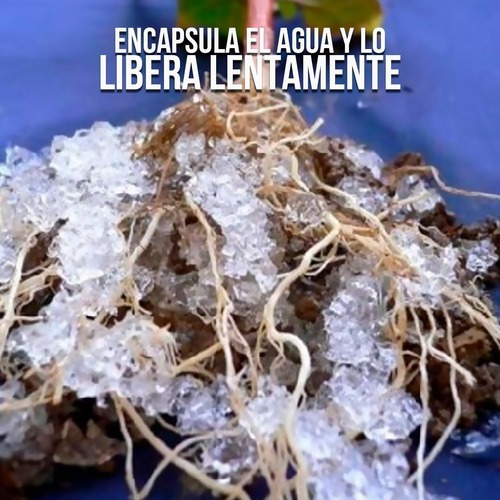 Hidrogel Plus+activadores Agrícola Lluvia Solida 25 Kg
