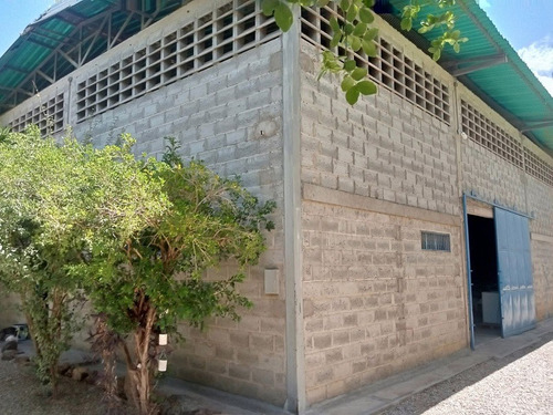 Baja De Precio Galpon Con Terreno Y Casa En Venta, El Espinal Mun Diaz, Margarita