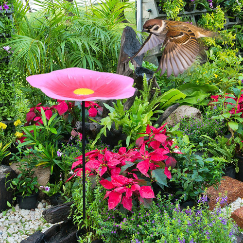 Comedero Para Pájaros De 20 Pulgadas De Altura Con Rosa
