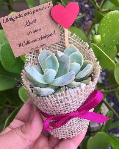 Imagen 7 de 8 de Suculentas, Cactus Recuerdos Eventos, Matrimonio,bautizo