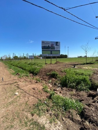 Imagen 5 de 5 de Terreno En Alvarez