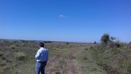 234ha Agric-frutícola-ganad Bellaunión Artigas 3 Casas Riego