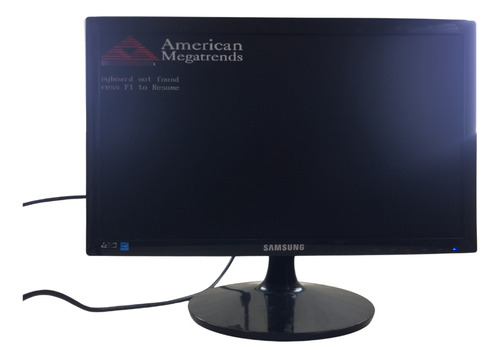 Monitor Samsung 19 Polegadas S19c301f Led Vga E Dvi (Usado)
