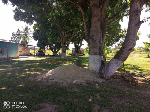 Imagen 8 de 9 de Venta De Funcional Y Productiva Finca De 5hect En Tocuyito - Inmobiliaria Maggi 1033