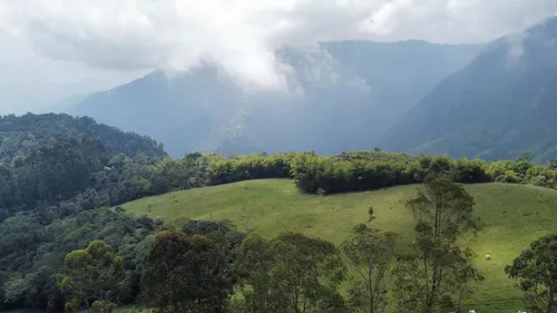 Vendo Permuto Finca Líbano Tolima