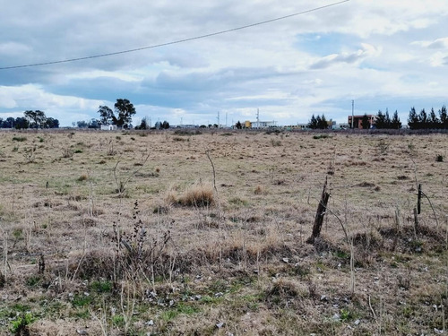 Imagen 22 de 24 de Venta De Campo De 2 Hectáreas En Guernica