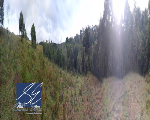 Imagem 11 de 27 de Fazenda - Fa00002 - 4589514