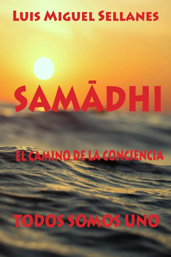 Libro: Samadhi, El Camino De La Conciencia: Todos Somos Uno 