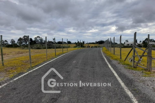 5 Hectáreas Venta Parcela Algarrobo Excelente Ubicación