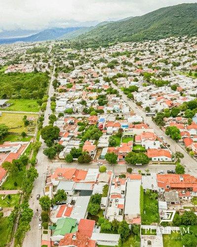 Venta Casa 4 Dormitorios Tres Cerritos Con Cochera