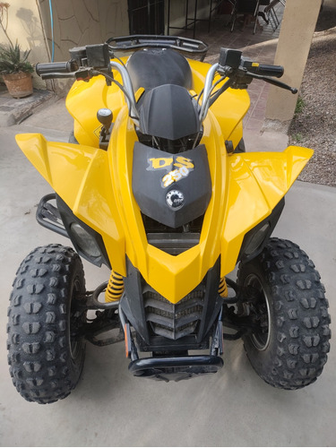 Can Am Ds 250