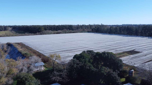 Venta De Campo 15 Hectareas En Lima Zarate Permuta