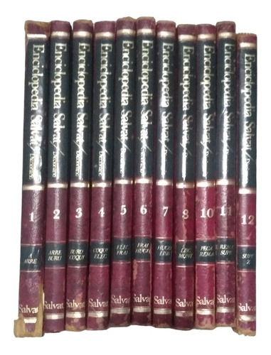 Enciclopedia Salvat Diccionario 11 Tomos Año 1983 