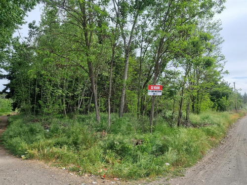 Parcela ( 3 Sitios Rol Propio Cada Uno)en Venta En Quillón
