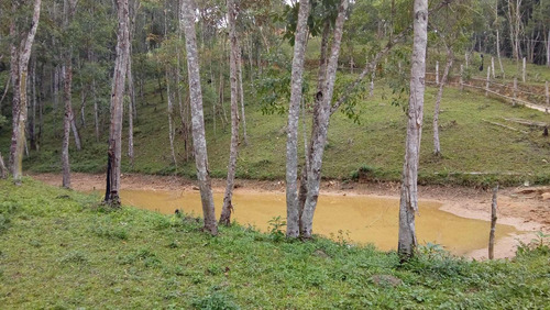 Imagem 5 de 5 de Chácara À Venda Em Juquitiba - 189 - 33676729