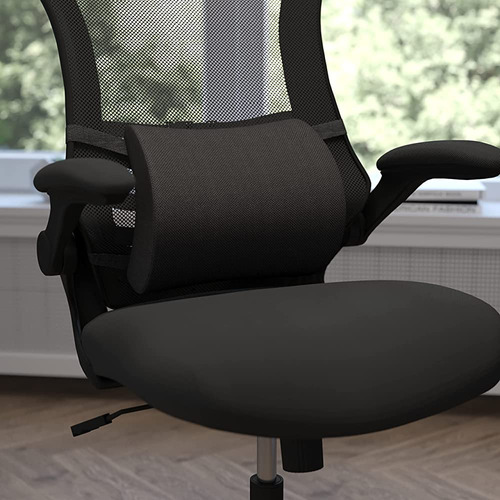 Flash Furniture Rey Lumbar Support Back Pillow Office Chair 