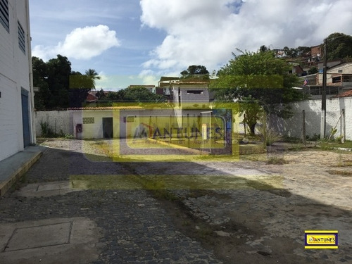Imagem 7 de 15 de Vendo Em Jardim Jordão 3.240 M², Com Galpão De 1.256 M² Próximo Ao Aeroporto - Gv-0005