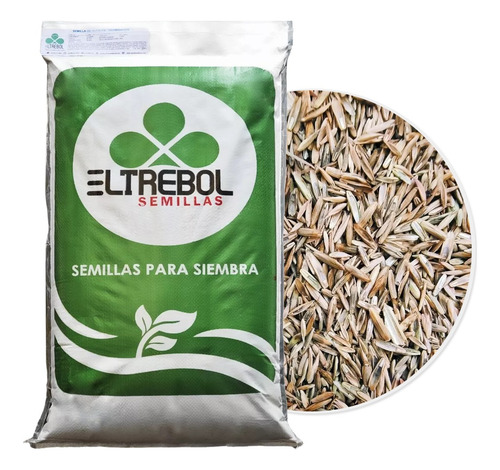 Semilla De Pasto Anual Forrajero Var. Attain (5 Kg)