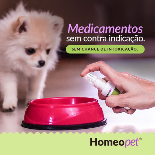 Kit 6 Pro Rim Trata Previne Problema Renal Urina Cães E Gato