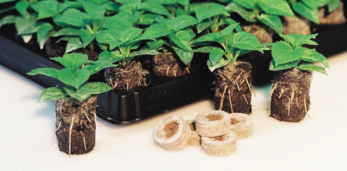 Imagen 2 de 2 de Pastilla Jiffy 30x40 Mm Pack 50 Unidades - Uruweed Growshop