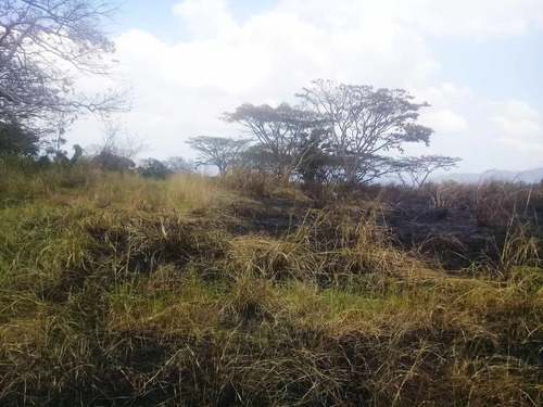 Imagen 11 de 11 de Leal Pérez Vende Finca En Bejuma