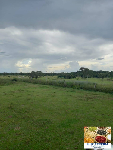 Imagem 1 de 15 de Fazenda À Venda Em Marianópolis - To - De 429 Alqueirão (dupla Aptidão) - 1682