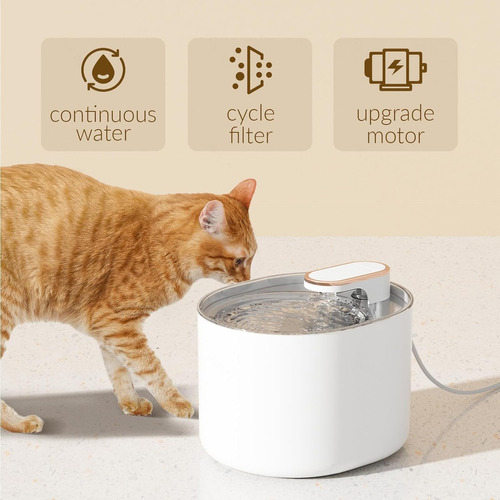 Fuente De Agua Para Gatos Catit Filtros Bebedero Gatos Cuencos Elevados Para Gatos Pileta Mascotas Blanco 3 Litros