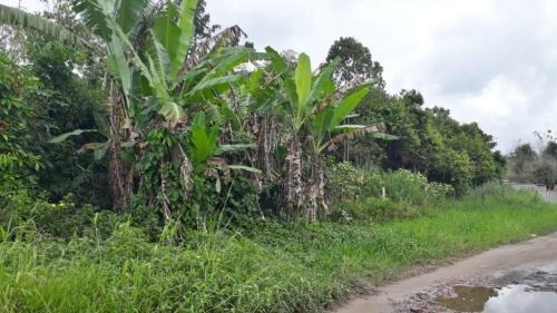 Imagem 4 de 5 de Terreno De Chácara, Medindo 3000 M²,em Itanhaém-sp 7880-pc