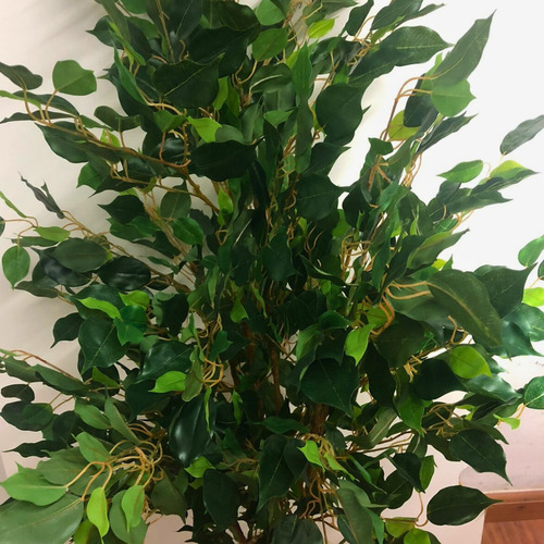Planta Fícus Arvore Verde Artificial Com Vaso Luxo Decoração
