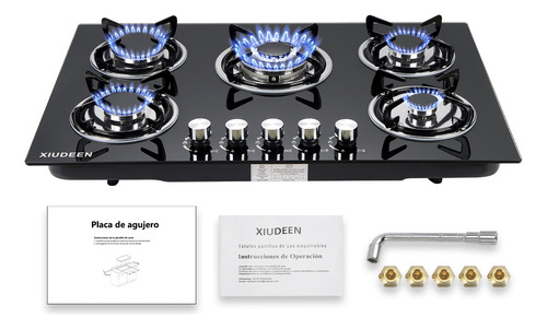 Parrilla De Gas Empotrable de mesa XIUDEEN XD5001G 5 quemadores de gas GN GLP aplicables cristal templado color negro