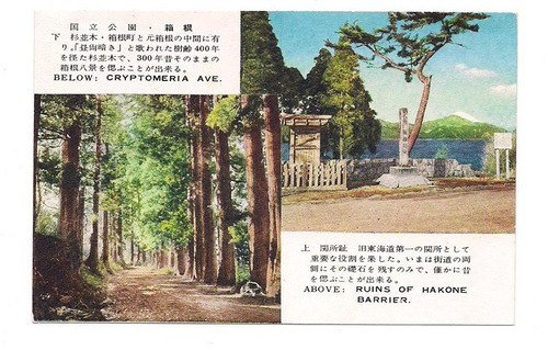 Postal Vintage Japon Cryptometria Ruinas Hakone 326 B3