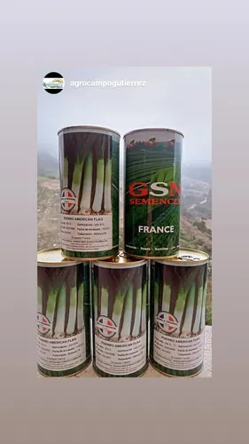Ajo Porro American Flag Gsn