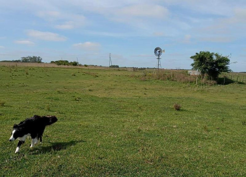 Imagen 6 de 15 de Chacra 5 Has En Madariaga