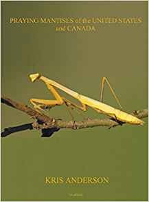 Praying Mantises Of The United States And Canada