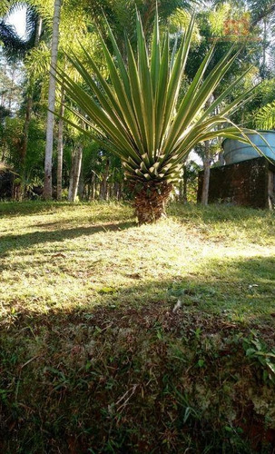 Imagem 11 de 27 de Chácara Com 4 Dormitórios À Venda, 7560 M² Por R$ 450.000,00 - Parque Três Meninos - Itariri/sp - Ch0107