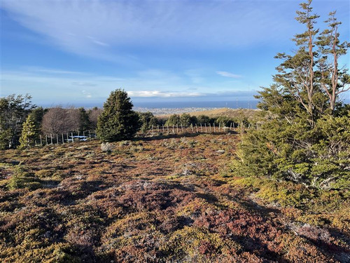 Parcelas En Venta En Punta Arenas