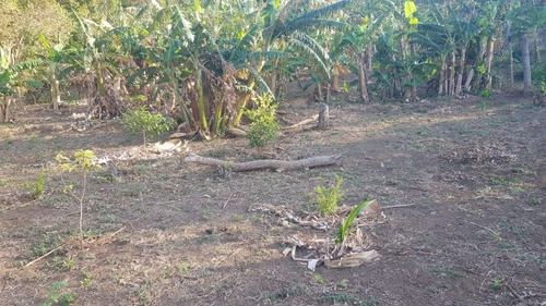 Imagen 14 de 30 de Se Vende Terreno Favorable Con Agua Y Luz Y Casita