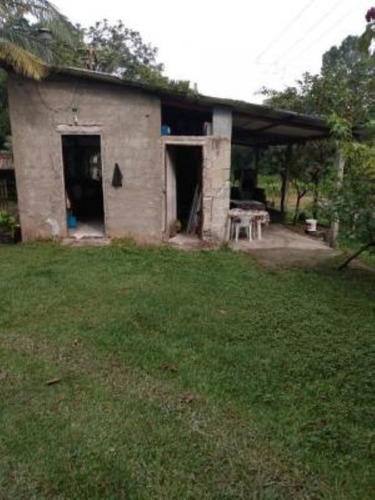 Imagem 9 de 14 de Chácara Com Espaço P/ Piscina E 01 Quarto. Itanhaém/sp