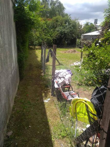 Tres Locales En Venta, Virrey Del Pino.