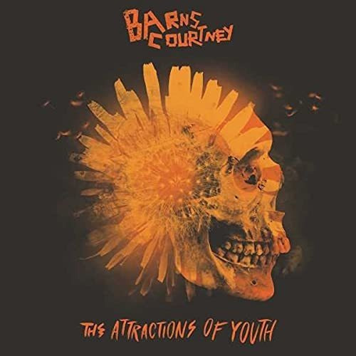 Cd The Attractions Of Youth - Barns Courtney