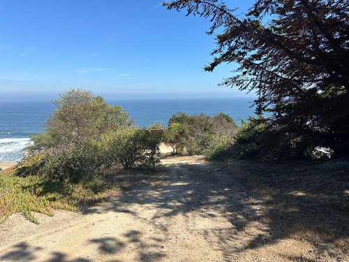 Sitio En Venta En Primera Línea Cachagua - Zapallar