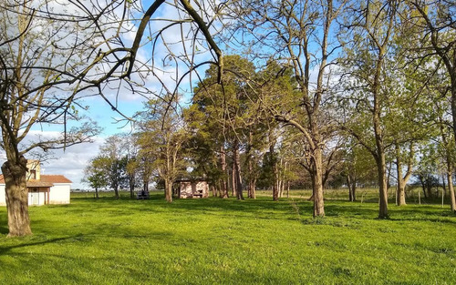 Imagen 1 de 24 de Venta Chacra 6 Ambientes Cañuelas