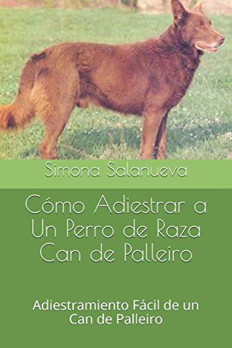 Como Adiestrar A Un Perro De Raza Can De Palleiro: Adiestram